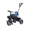 Keppz Cushioned Kids Tricycle with Backrest & Push Handle Baby Trike for 1.5 Years with Storage Basket & Safety Belt - Keppz