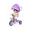 Keppz Stylish Kids Tricycle with Printed Canopy & Safety Belt  Baby Trike with Push Handle & Storage Basket for 1.5 Years.